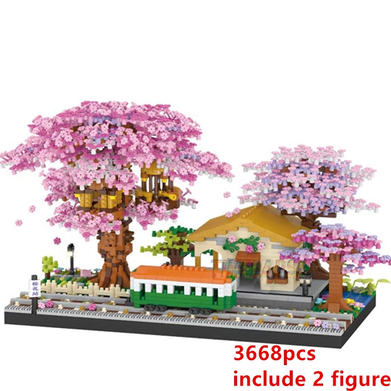 50484262469800